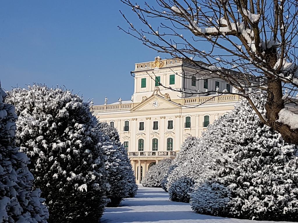 Fertődi Kúria Vendégház Exterior foto
